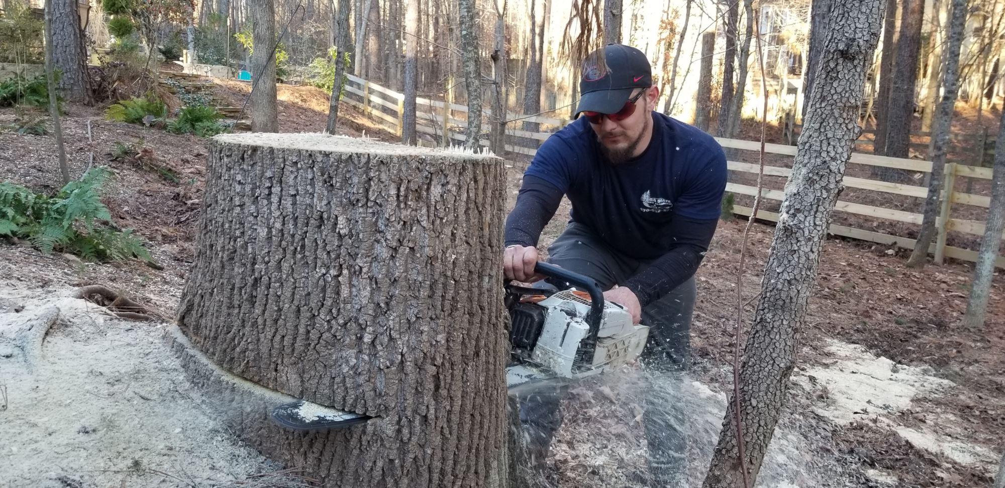 Tree Removal Pricing