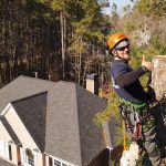 Tree Removal North GA