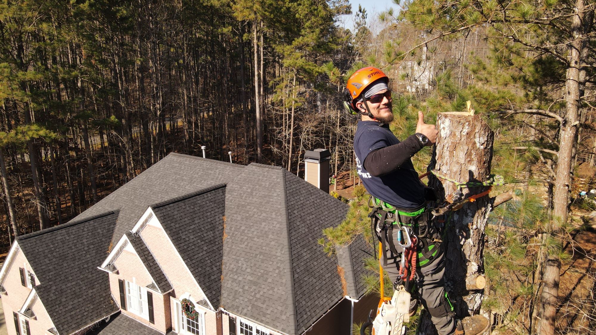 Tree Removal North GA