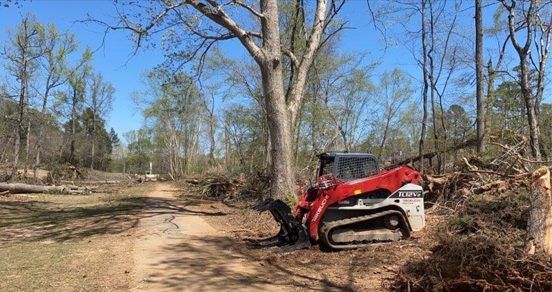 emergency tree removal